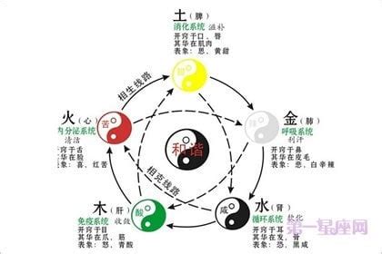 啡色五行屬性|五行屬性查詢表